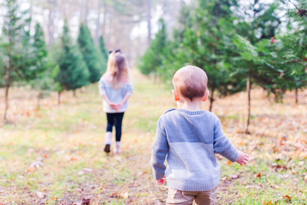 Chattanooga area Christmas Tree Farm Mini Sessions by Elle Bea Photography