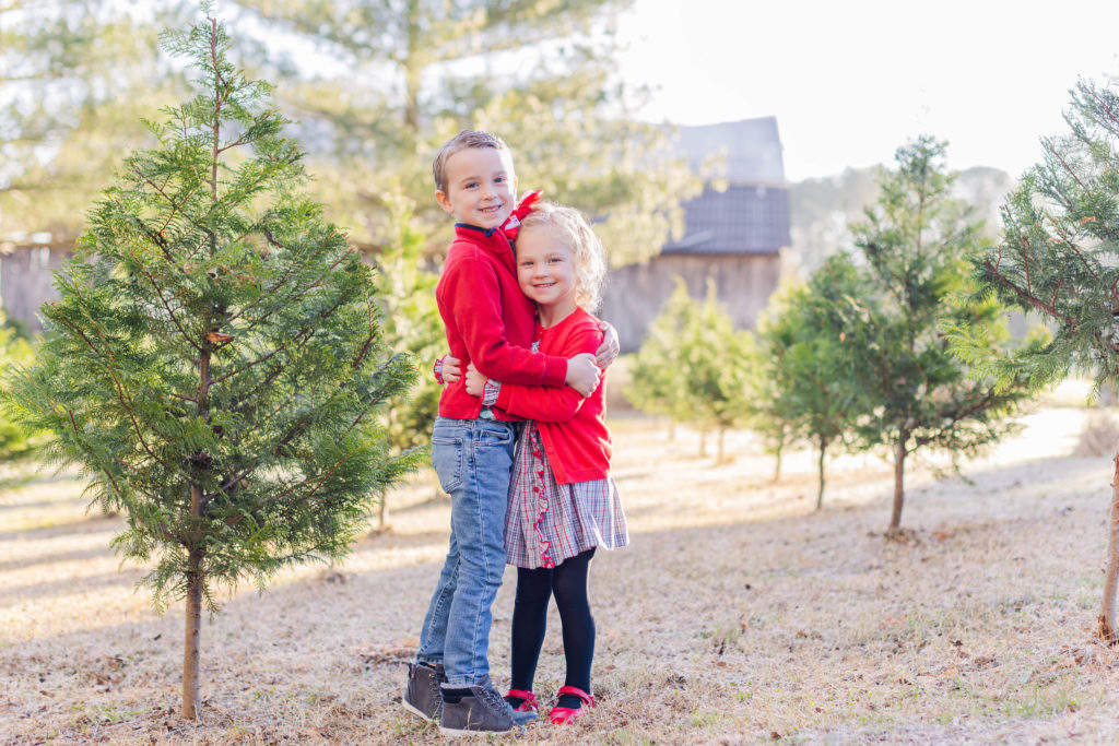 Brother and sister share a hug during Christmas tree farm mini sessions by Elle Bea Photography in November 2022 at Christmas Carroll Tree Farm in Walker County, Georgia