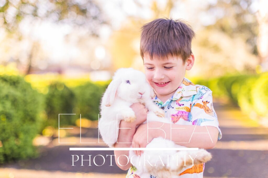 Boy cuddles white bunny at live bunny mini sessions in Chickamauga, Georgia