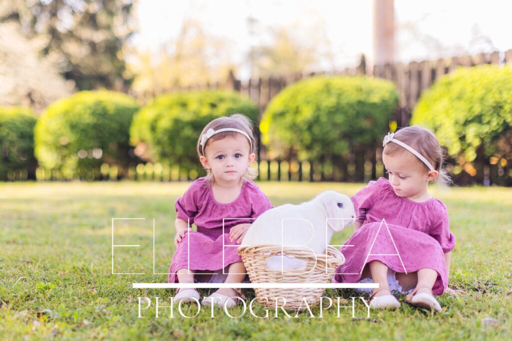 Twin toddler girls sit with white bunny in a basket on the lawn at live bunny mini sessions in Chickamauga, Georgia