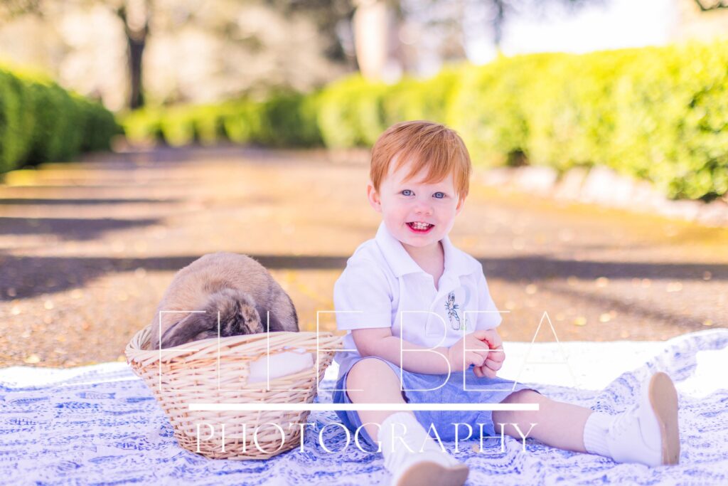 Boy smiles next to brown bunny in a basket at live bunny mini sessions in Chickamauga, Georgia
