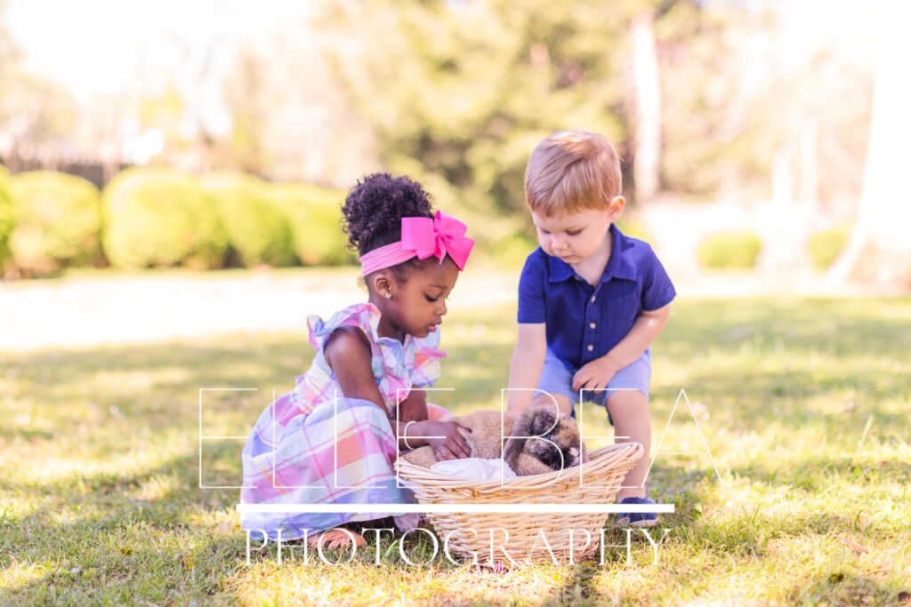 Brother and sister pet a fluffy brown bunny in a basket at live bunny mini sessions in Walker County, Georgia