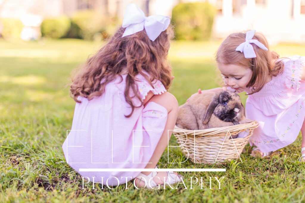 Sisters pet and kiss brown fluffy bunny in a basket at live bunny mini sessions in Walker County, Georgia
