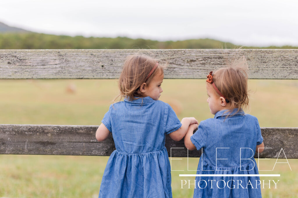 Twin girls climb together on rustic fence during family mini sessions by Elle Bea Photography